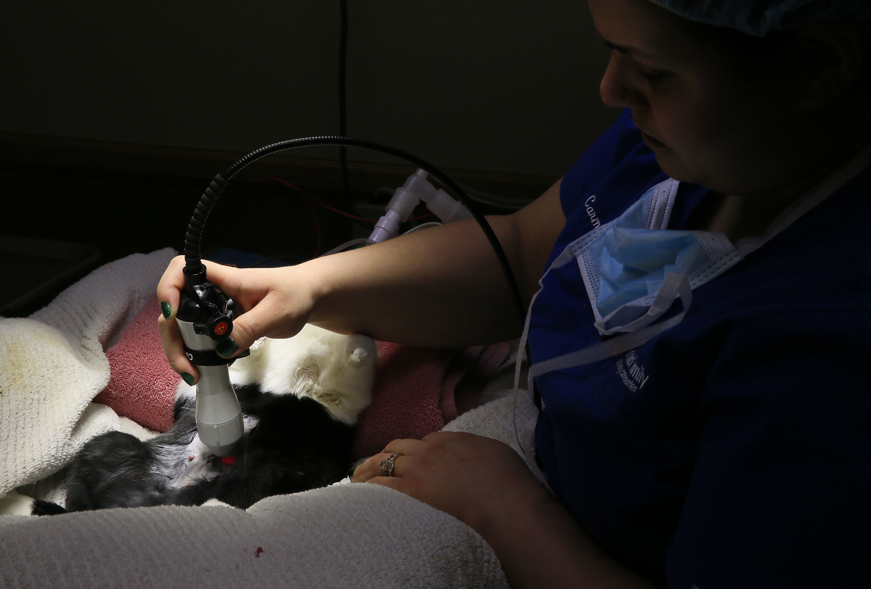 022419-qct-fea-spayday-010
